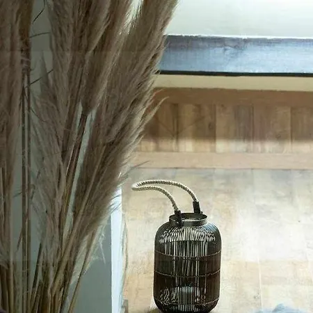 Atico Asturias Apartment Gijon